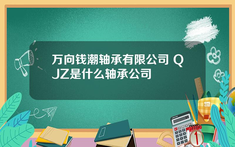 万向钱潮轴承有限公司 QJZ是什么轴承公司